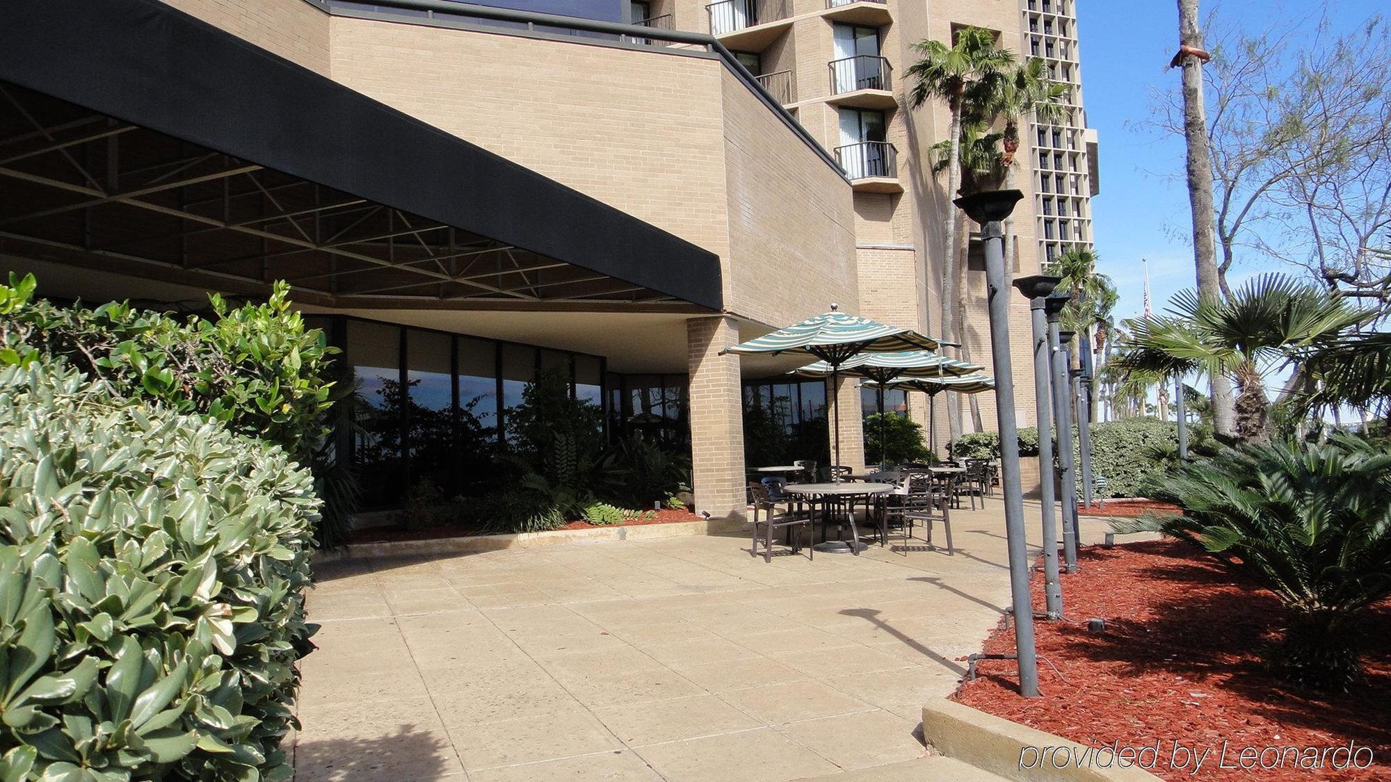 Holiday Inn Corpus Christi Downtown Marina By Ihg Экстерьер фото